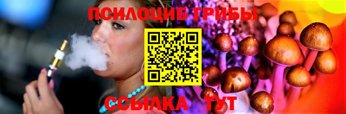 Псилоцибиновые грибы мухоморы  Вход с VPN  Карачаевск 